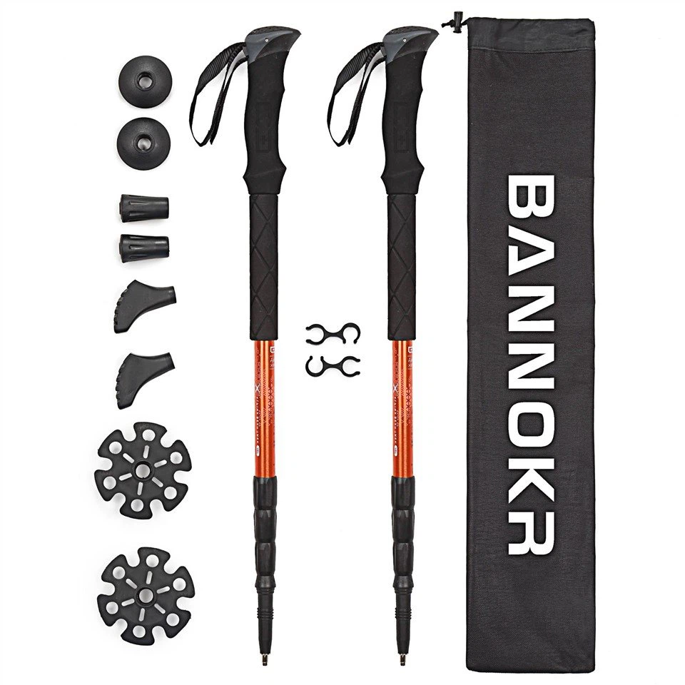 Trek Hiking Sticks