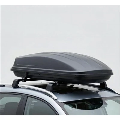 Family Travel Roof Cargo Carrier